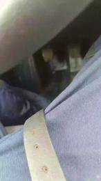 pipebcnhotncb webcam model stream image