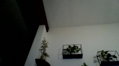 axell58 webcam model stream image