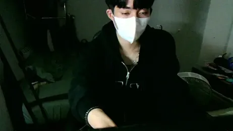 max5388 webcam model stream image