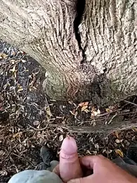 Rico-chow webcam model stream image