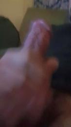 Pucela webcam model stream image