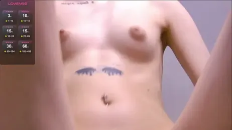 Monasteel webcam model stream image