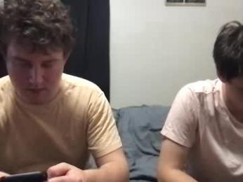 d_dart webcam model stream image