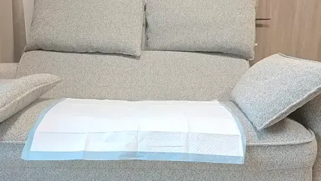 Ema_japanese webcam model stream image