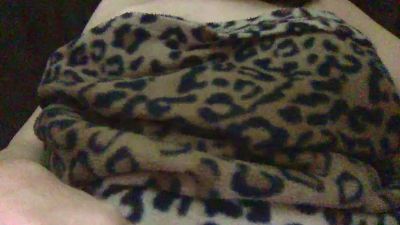 sexyladyp webcam model stream image