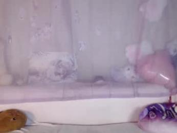 oh_pichuu webcam model stream image