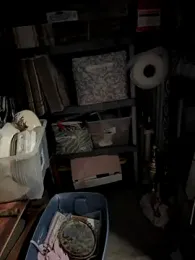 SummerBlueMoon webcam model stream image