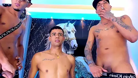 the_knights_of_the_night_ webcam stripchat model stream image