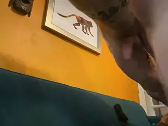 trash4cash webcam model stream image