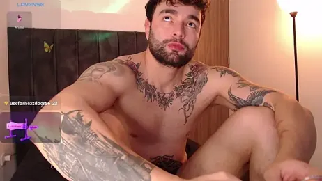 Diegoarctic webcam model stream image