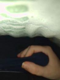 Serpente35 webcam model stream image