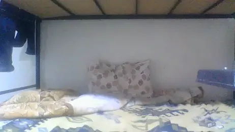 ahmetsoner0249 webcam model stream image