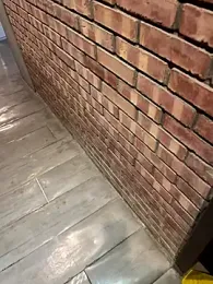 chippopo webcam stripchat model stream image