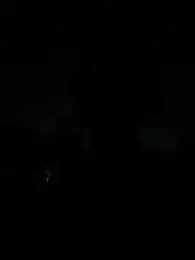 chippopo webcam stripchat model stream image