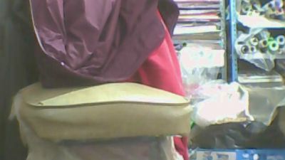 srxmn webcam model stream image