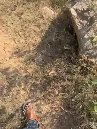 ONestark webcam stripchat model stream image