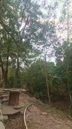 Richard_2 webcam model stream image