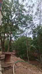 Richard_2 webcam model stream image