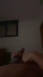 Blackpointx webcam model stream image