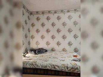 Alisa-33 webcam model stream image