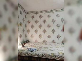 Alisa-33 webcam model stream image