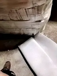 SborraSicula webcam model stream image