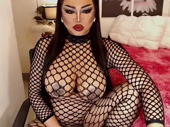 TRANSLUNAA webcam model stream image