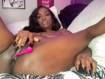 tatted_vixen webcam model stream image