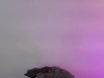 foxkatty69 webcam model stream image