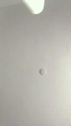 Zirup webcam model stream image