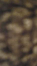 Duro0784 webcam model stream image