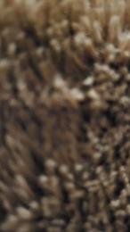 Duro0784 webcam cam4 model stream image