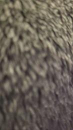 Duro0784 webcam model stream image