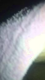 Aple82 webcam model stream image