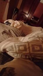 teddy2008 webcam model stream image