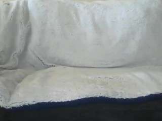 gr3yman87 webcam camsoda model stream image