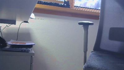 steinbock_1 webcam model stream image