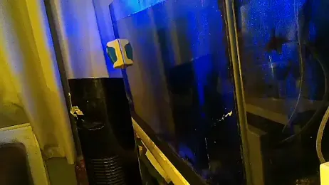 BIG_CHOPPA_747 webcam model stream image