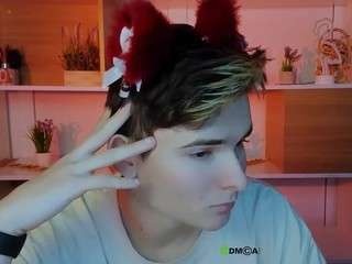 bondi-vv webcam model stream image