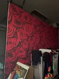 CarmelaAnthony webcam model stream image