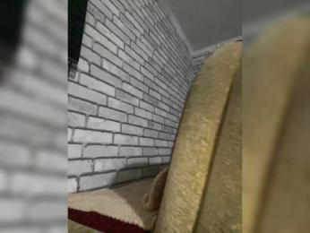 Olyd webcam model stream image