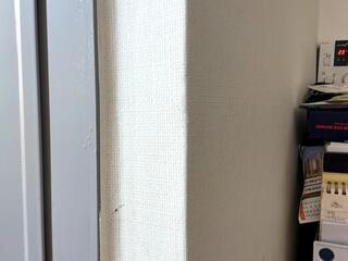 Jesse Doporto webcam model stream image