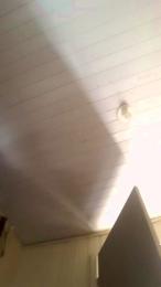 Davi9280 webcam model stream image