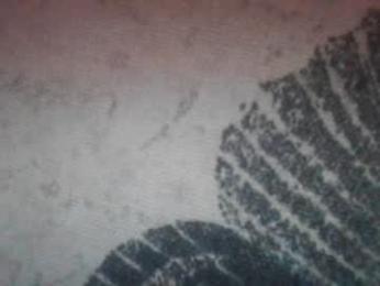 secret18slaveanon webcam model stream image