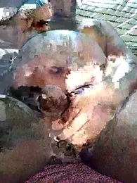 poloplayer123 webcam model stream image