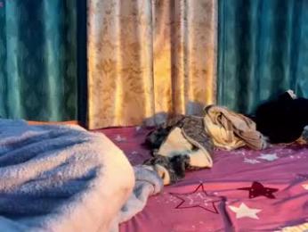 indian_couple247 webcam model stream image