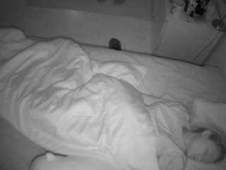 voyeurcam-julmodels-greybed-2 webcam model stream image