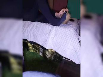 doktorgirl webcam model stream image