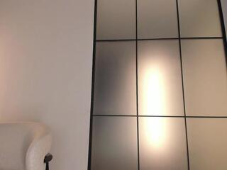 Shu webcam model stream image