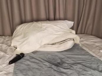 lucynuty webcam model stream image